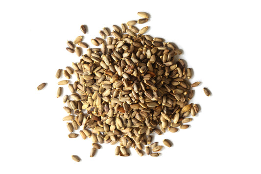Milk Thistle Seed Organic